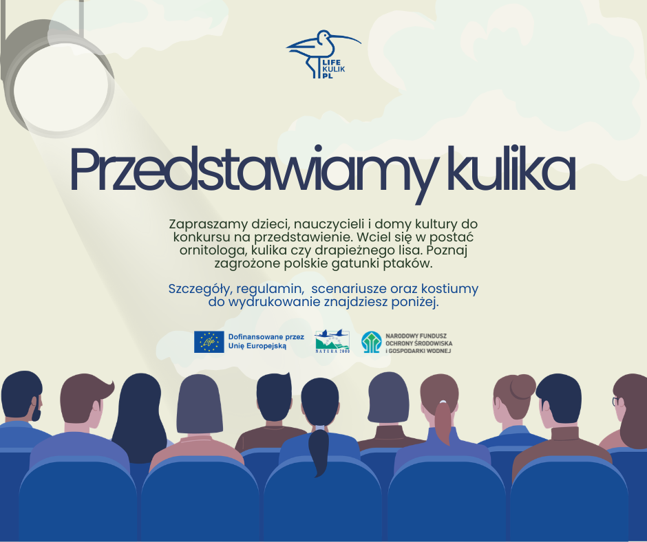 przedstawiamy kulika