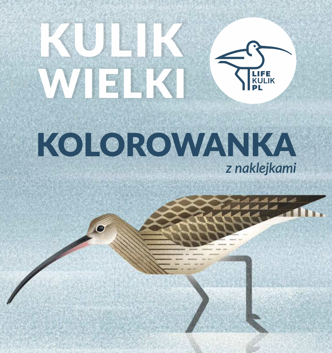 kulik kolorowanka