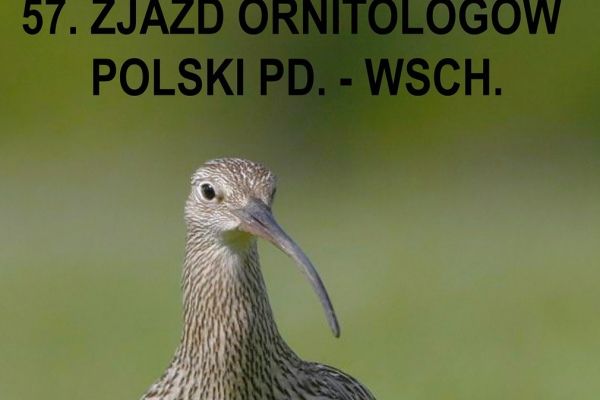 Presentation of the LIFEkulikPL project