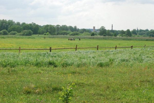 Wszystkie krowy i koniki kupione w projekcie orlikowym